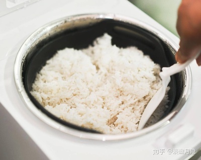 煲米饭放多少水