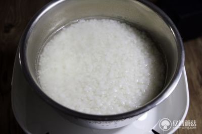煲米饭放多少水