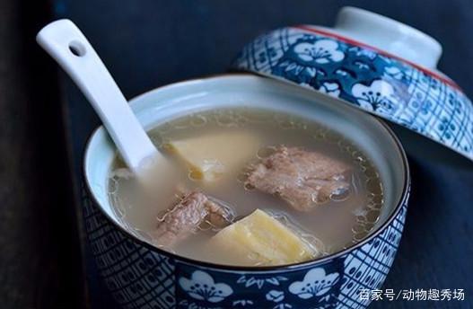 榴莲炖汤的做法大全