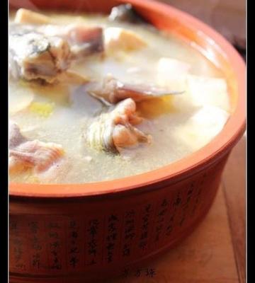 清炖鲶鱼豆腐汤的做法