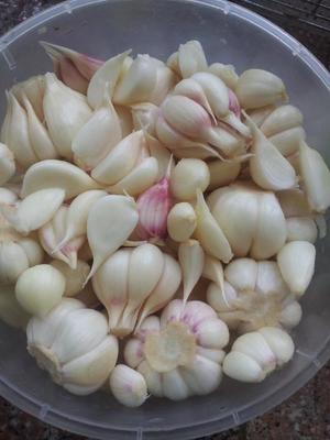 腌大蒜的做法大全