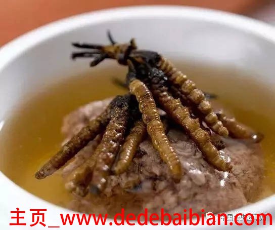 虫草的吃法