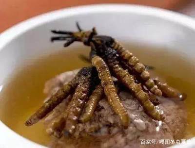 虫草的吃法