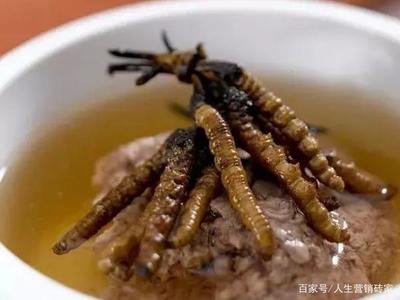 虫草的吃法