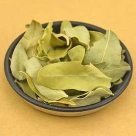 萝卜麻图片