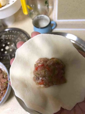 葱头肉馅的饺子的做法
