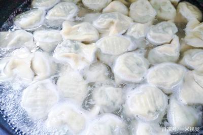 煮速冻饺子需要多长时间