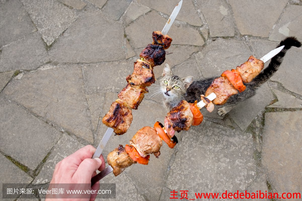 烧烤的肉怎么腌制