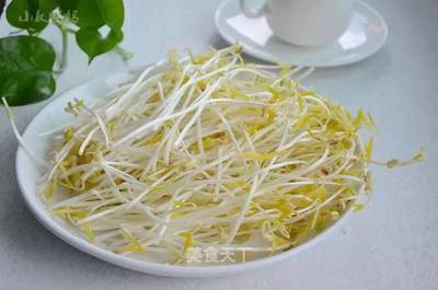 怎样发绿豆芽视频