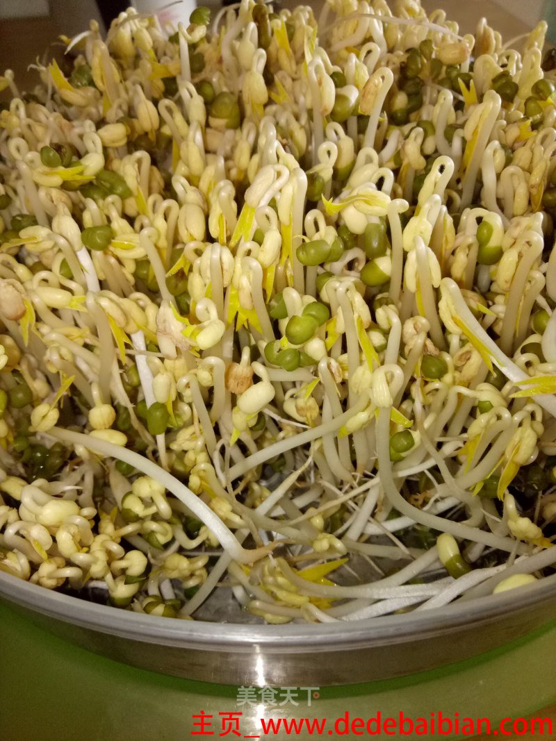 怎样发绿豆芽视频