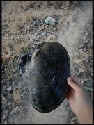 [field:title/]