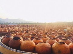 [field:title/]