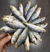 [field:title/]