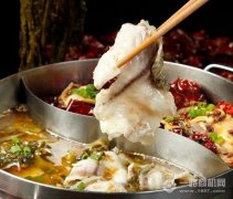 渔火锅介绍要多少钱_排行榜】
