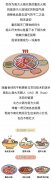 火锅发展史要多少钱_排行榜】