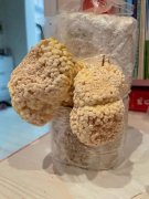 黄金菇做法大全_怎么做好吃_图片